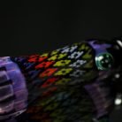 beb4a410cb9f4cfdfa41907f34d6943b.jpg